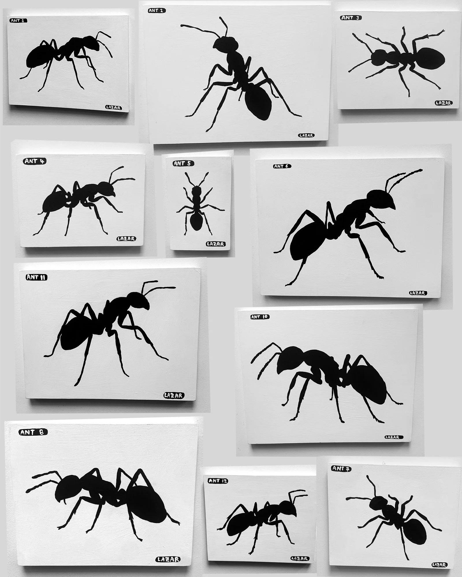 Ant paintings collage