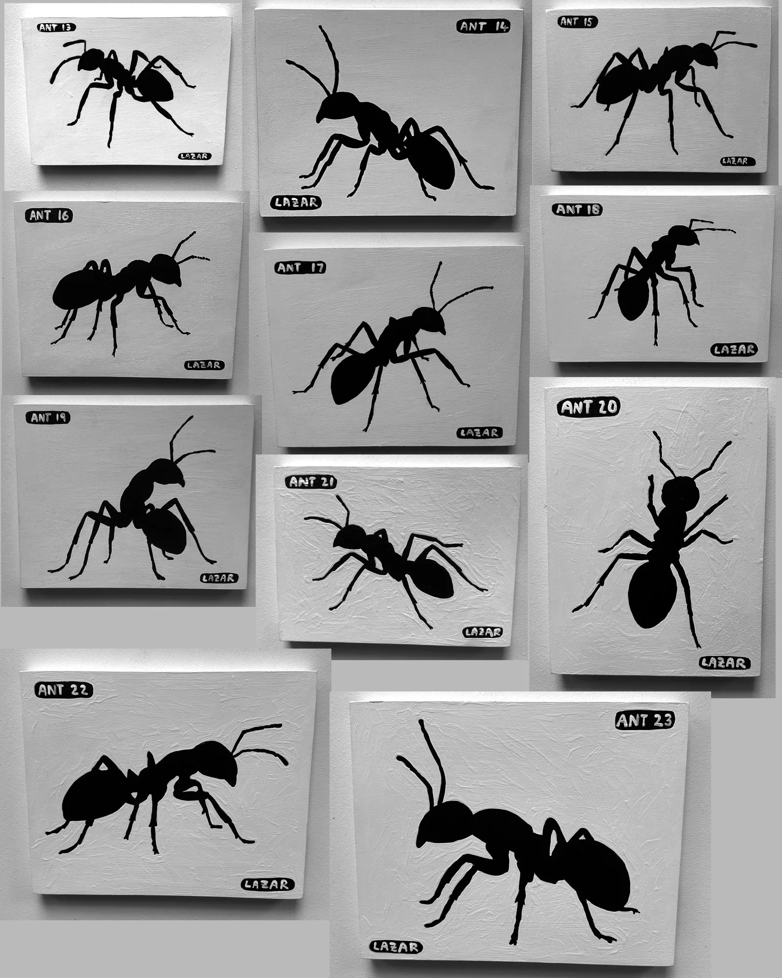 Ant paintings collage