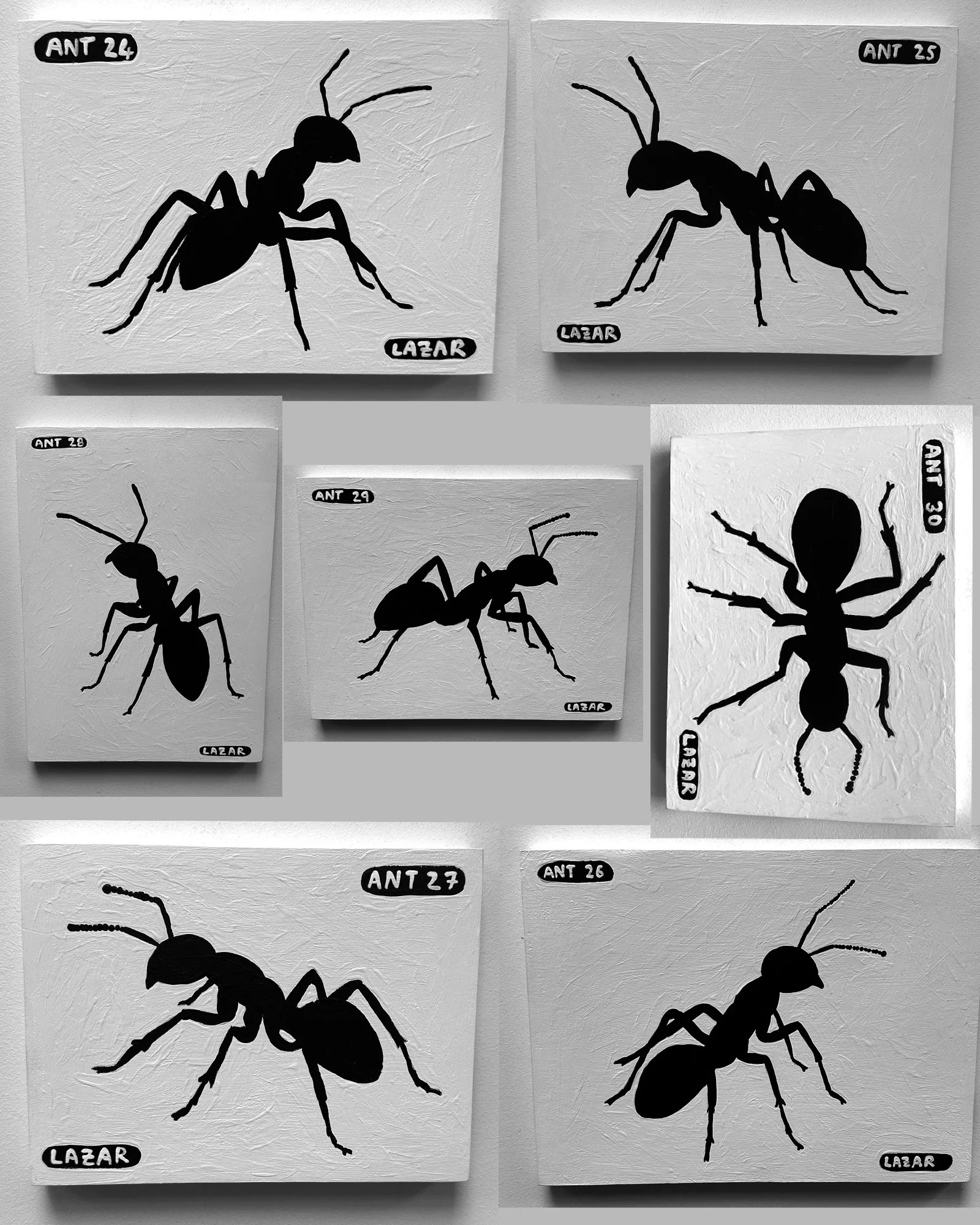 Ant paintings collage